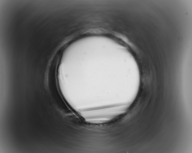 X0000087611221200705251935