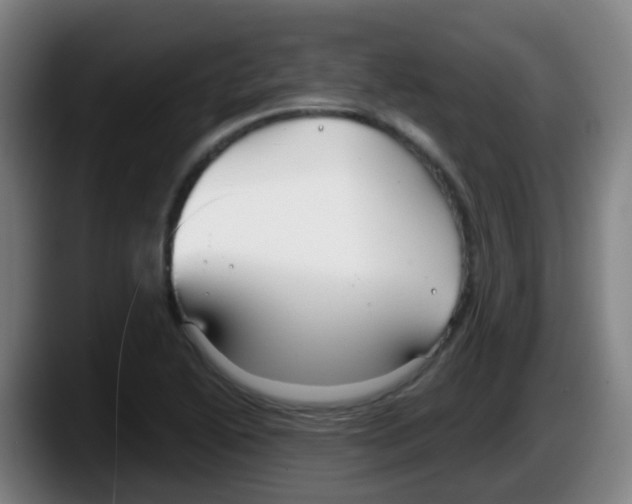 X0000087611222200705251935