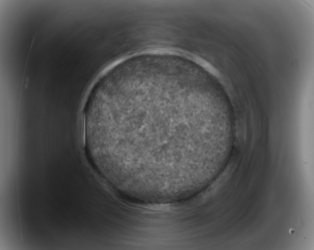 X0000087611223200705251935