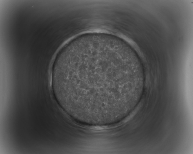 X0000087611224200705251935