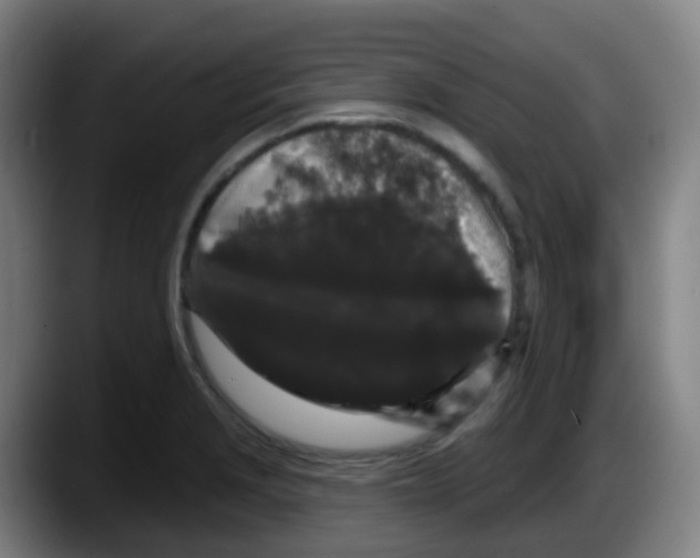 X0000087611229200705251936