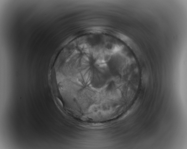 X0000087611233200705251936