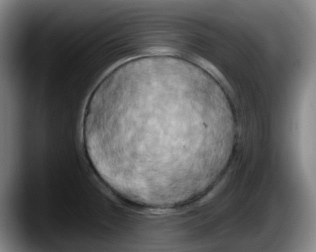 X0000087611236200705251936