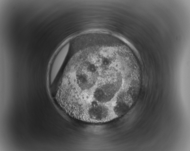 X0000087611237200705251936