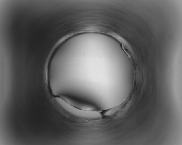 X0000087611238200705251936