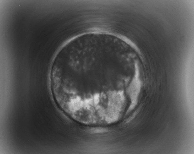 X0000087611239200705251936