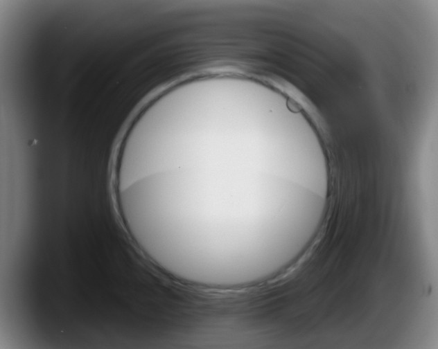 X0000087611240200705251936