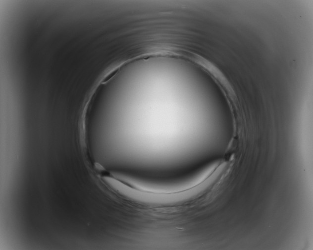 X0000087611242200705251936