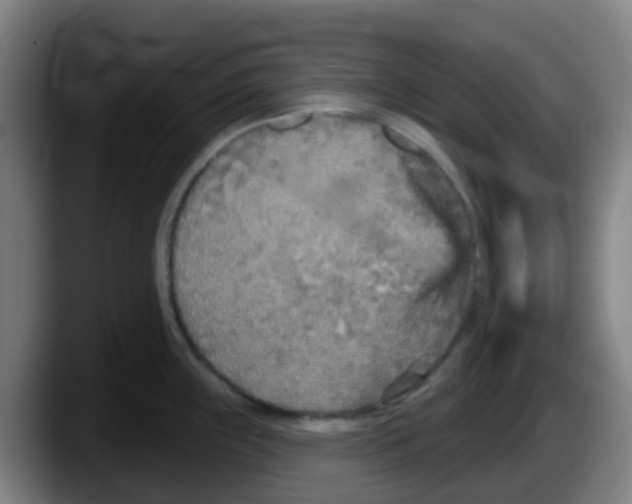 X0000087611243200705251936