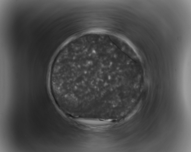 X0000087611245200705251936