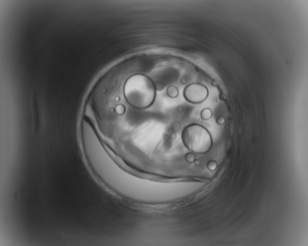 X0000087611247200705251936