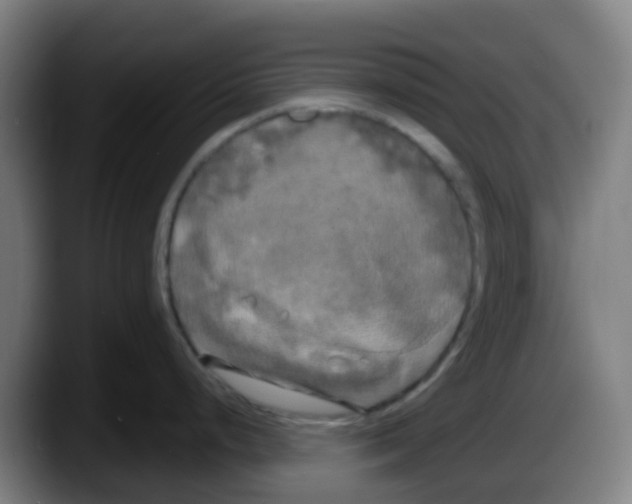 X0000087611248200705251936