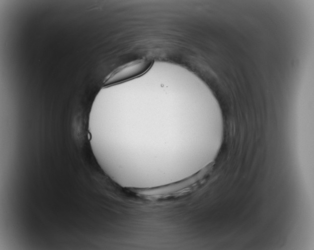 X0000087611250200705251935