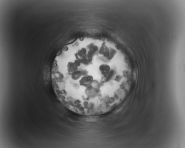 X0000087611251200705251935