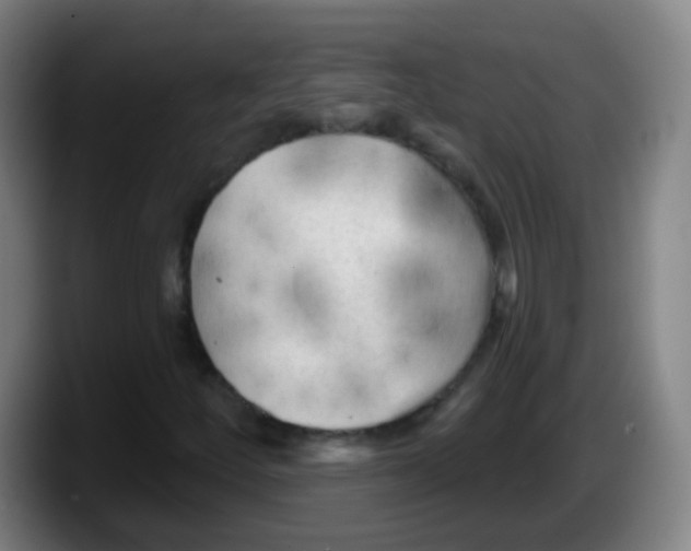 X0000087611252200705251935