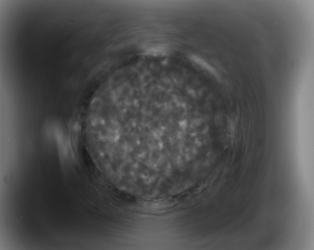 X0000087611254200705251935