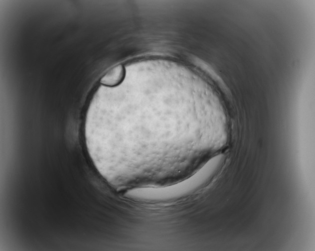 X0000087611260200705251935