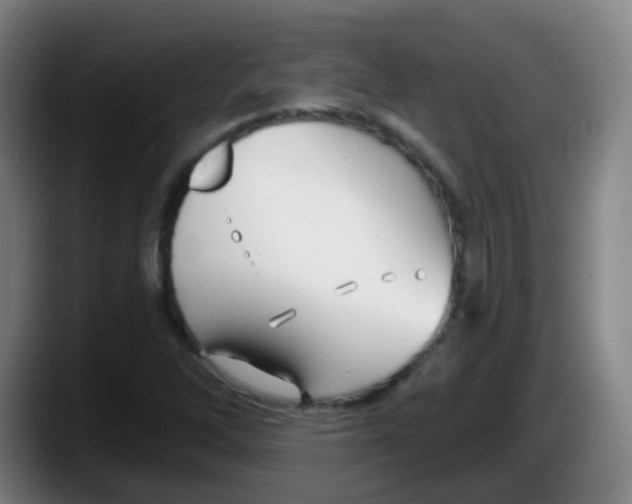 X0000087611262200705251935