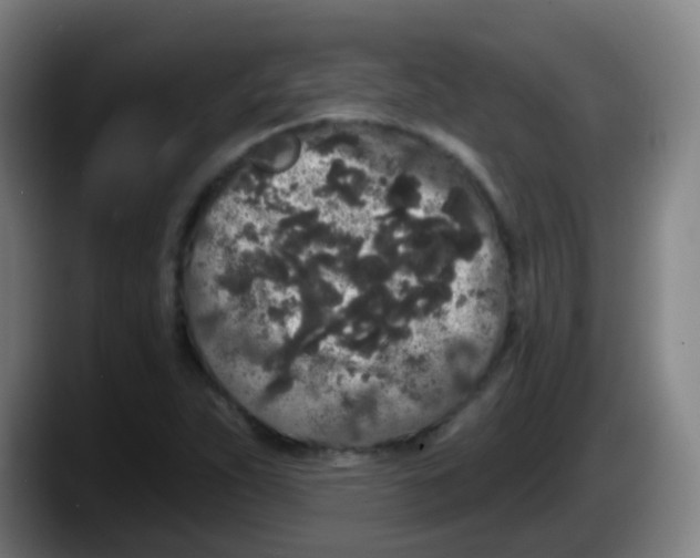 X0000087611263200705251935