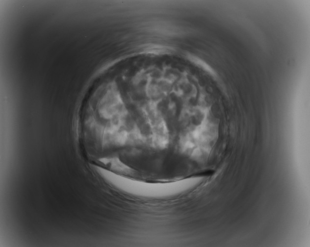 X0000087611267200705251935