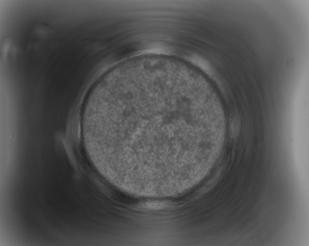 X0000087611274200705251935