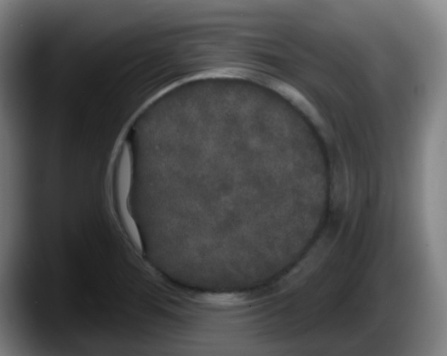 X0000087611276200705251935