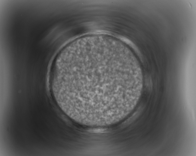 X0000087611278200705251935