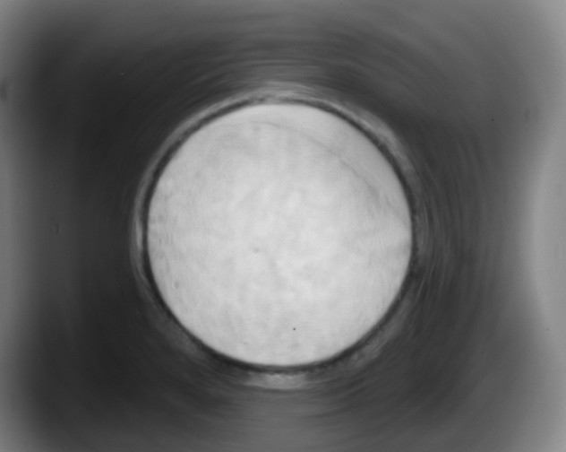 X0000087611280200705251935