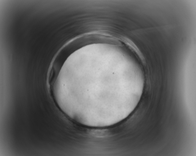 X0000087611284200705251935