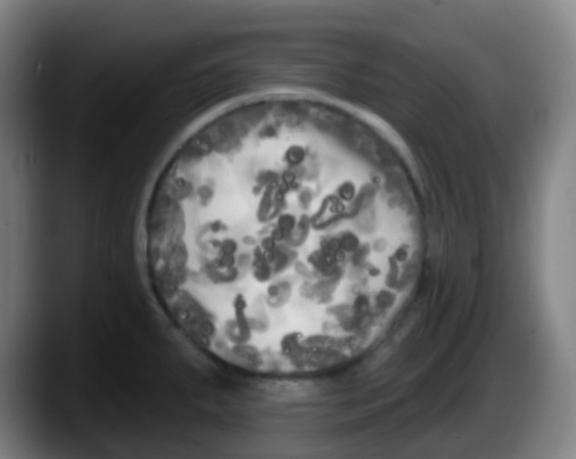 X0000087611287200705251935