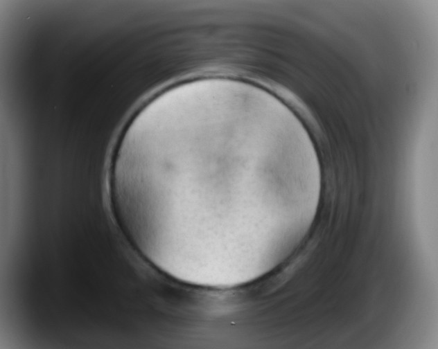 X0000087611288200705251935