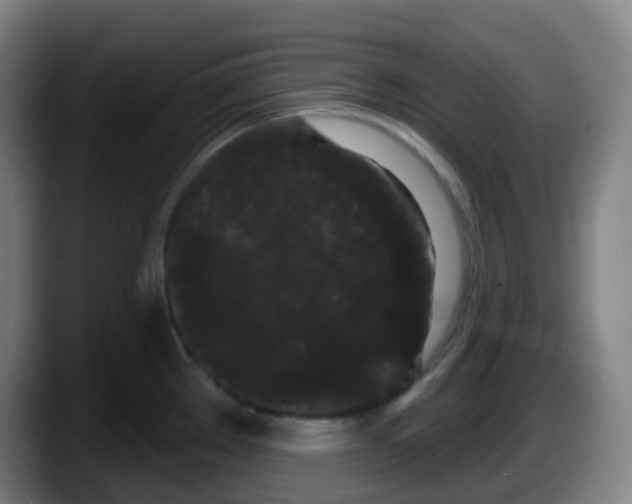 X0000087611289200705251935