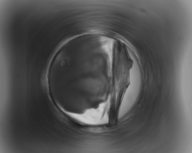 X0000087611291200705251935