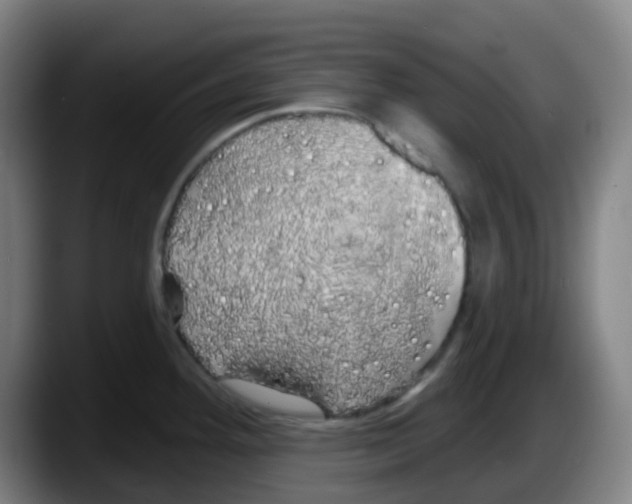 X0000087611292200705251935