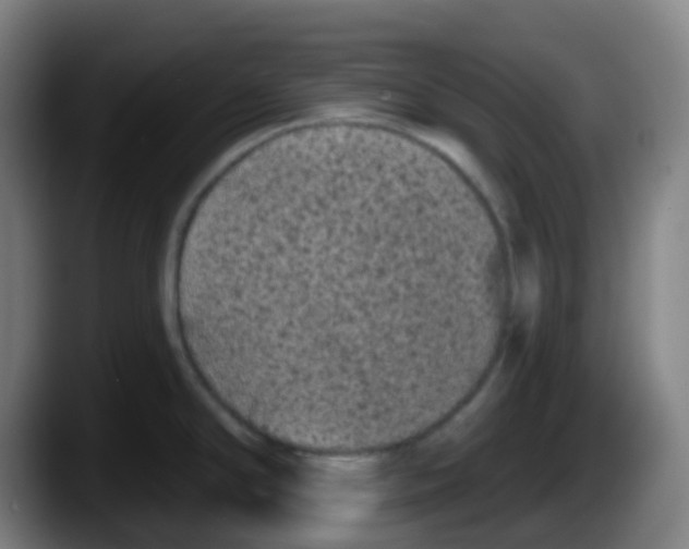 X0000087611294200705251935