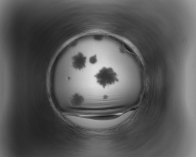 X0000087611295200705251935