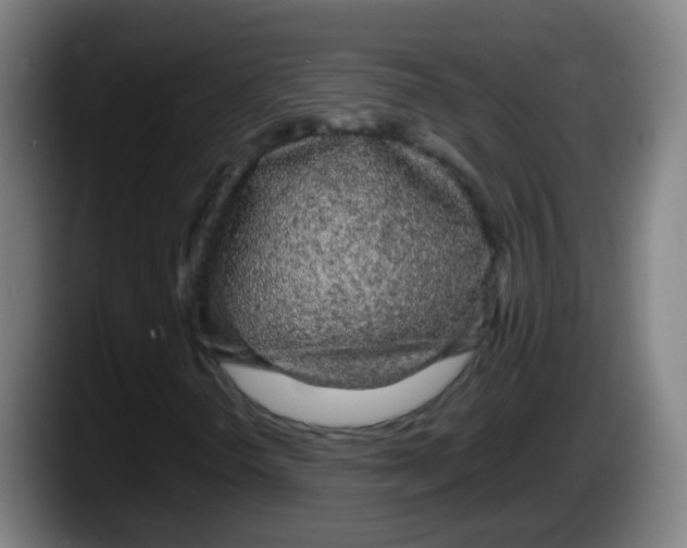 X0000087611298200705251934