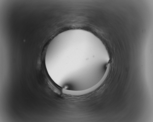 X0000087611300200705251934