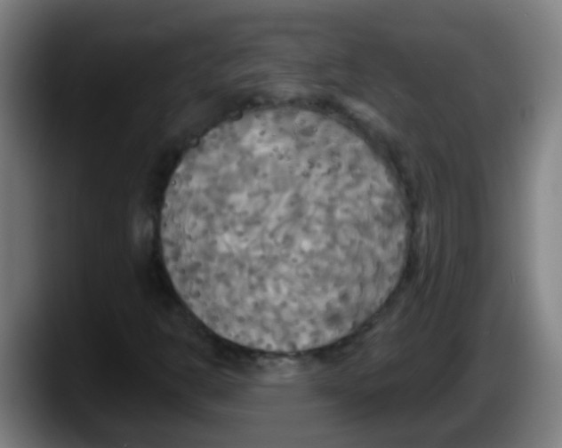 X0000087611302200705251934