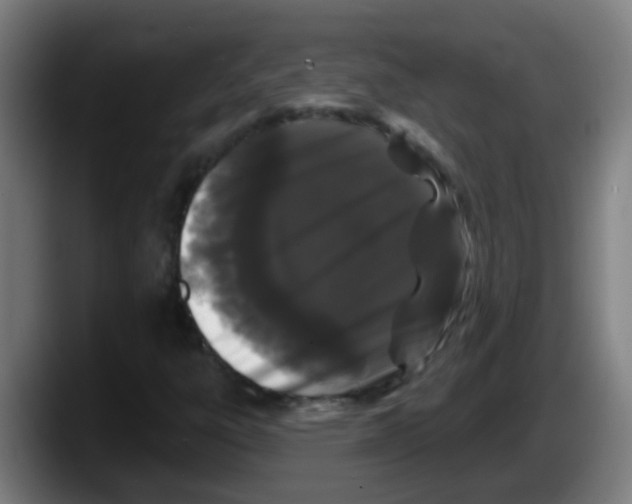 X0000087611303200705251934