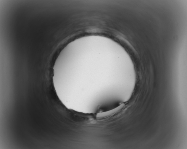 X0000087611304200705251934