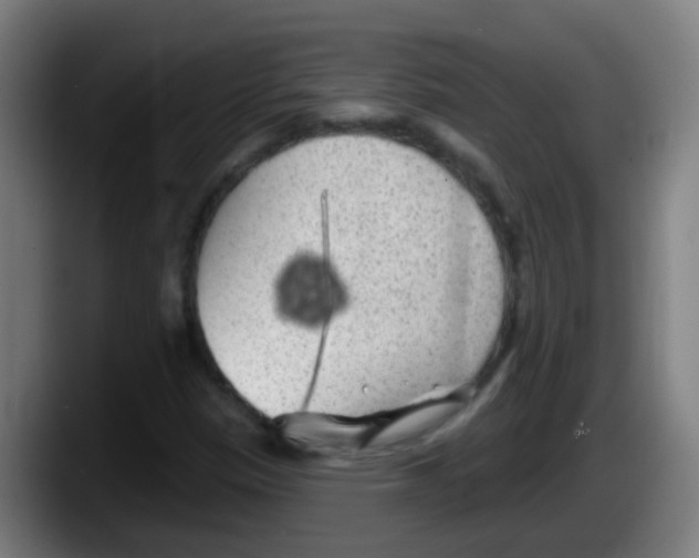 X0000087611305200705251934