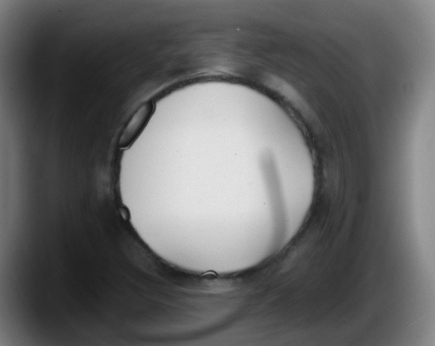 X0000087611308200705251934