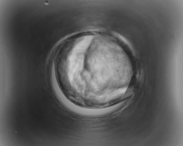 X0000087611310200705251934