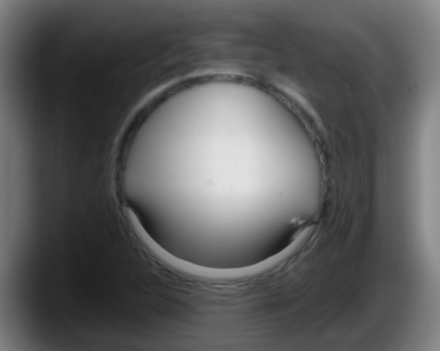 X0000087611312200705251934