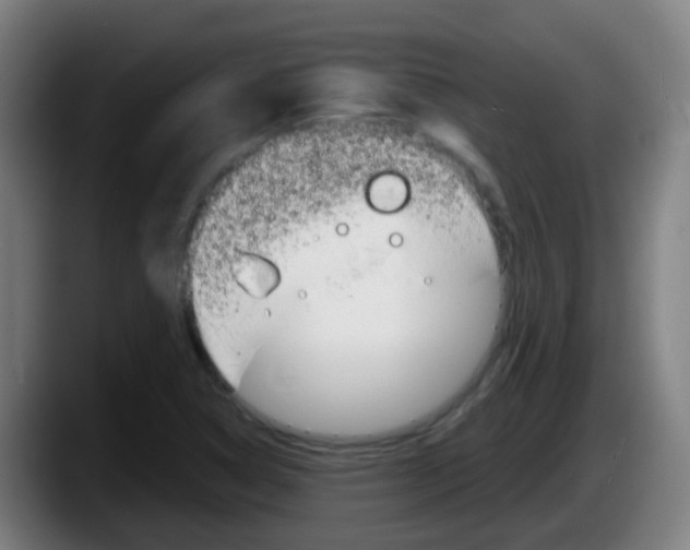 X0000087611314200705251934