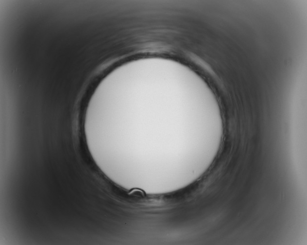 X0000087611315200705251934