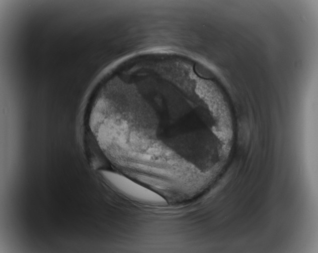 X0000087611319200705251934