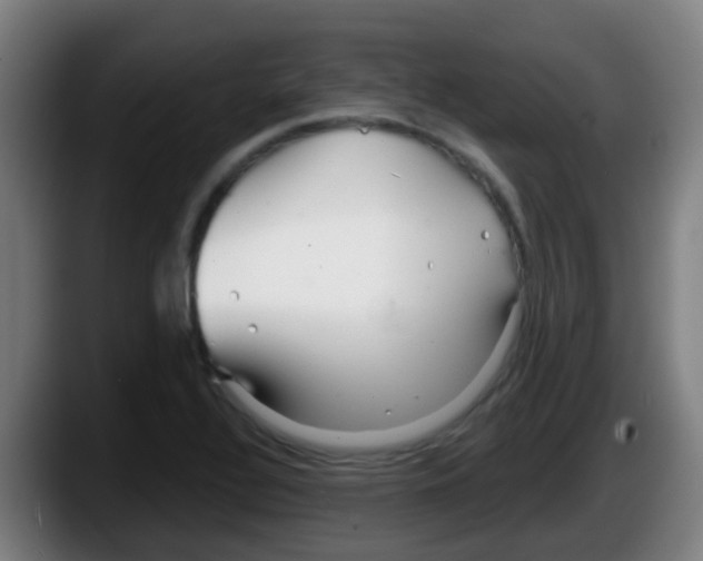 X0000087611320200705251934