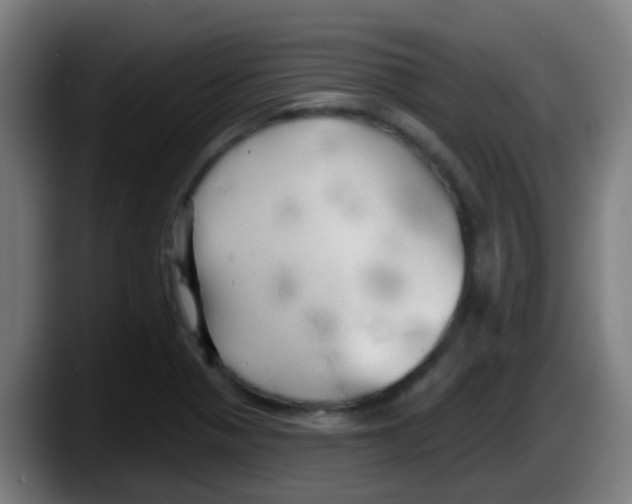 X0000087611321200705251934